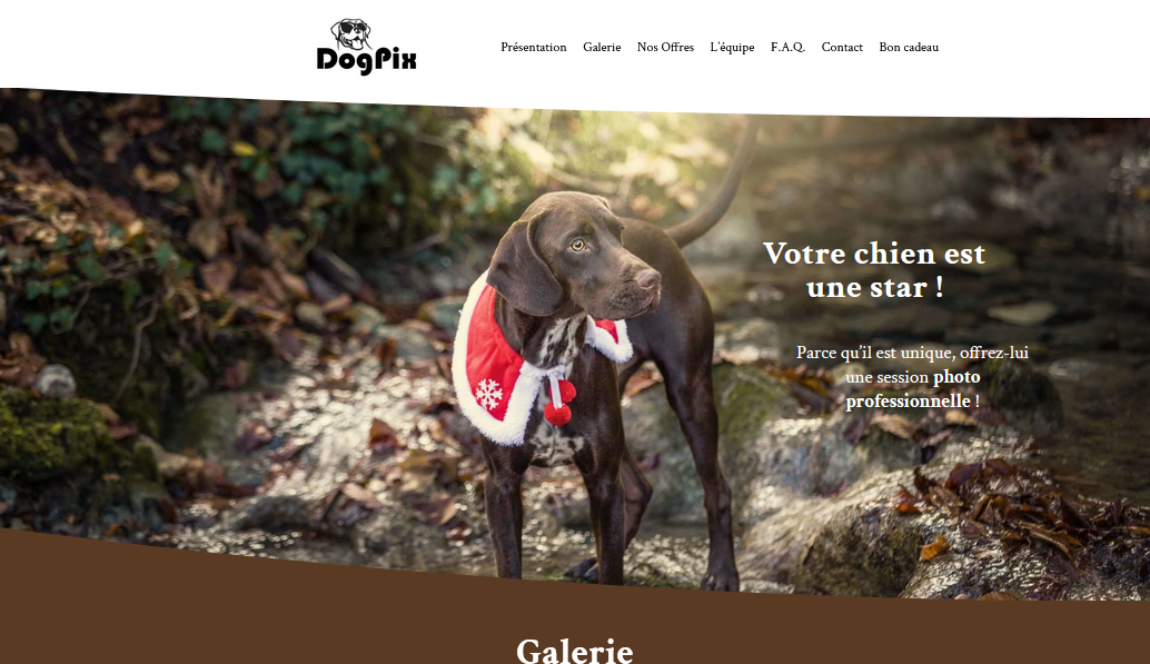 Aperçu du site Dogpix, photo canine